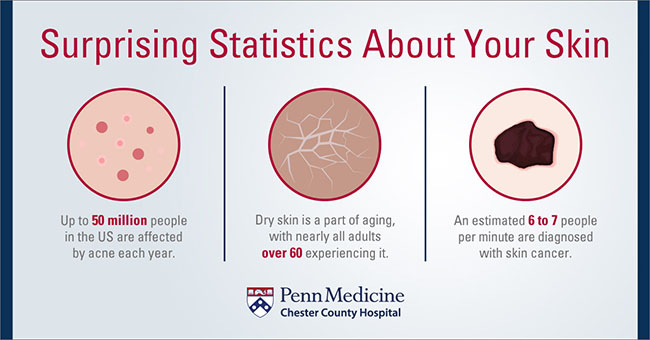 Skin Statistics Graphic