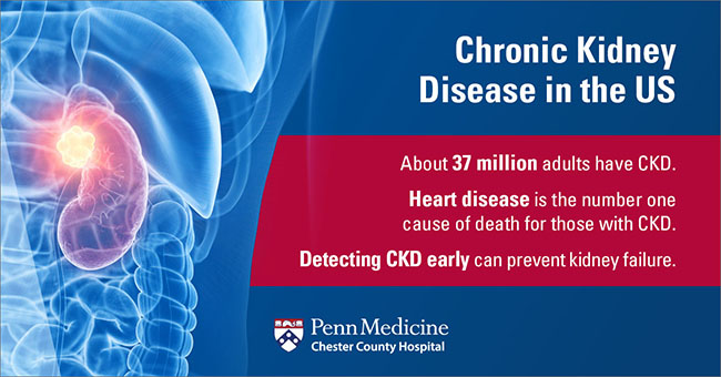 Chronic Kidney Disease: Causes Symptoms And Treatments - Chester County ...