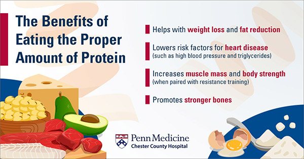 Benefits of Eating Proper Amount of Protein Graphic
