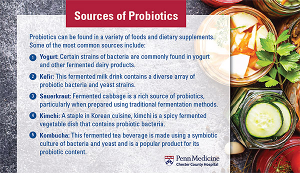 Sources of Probiotics